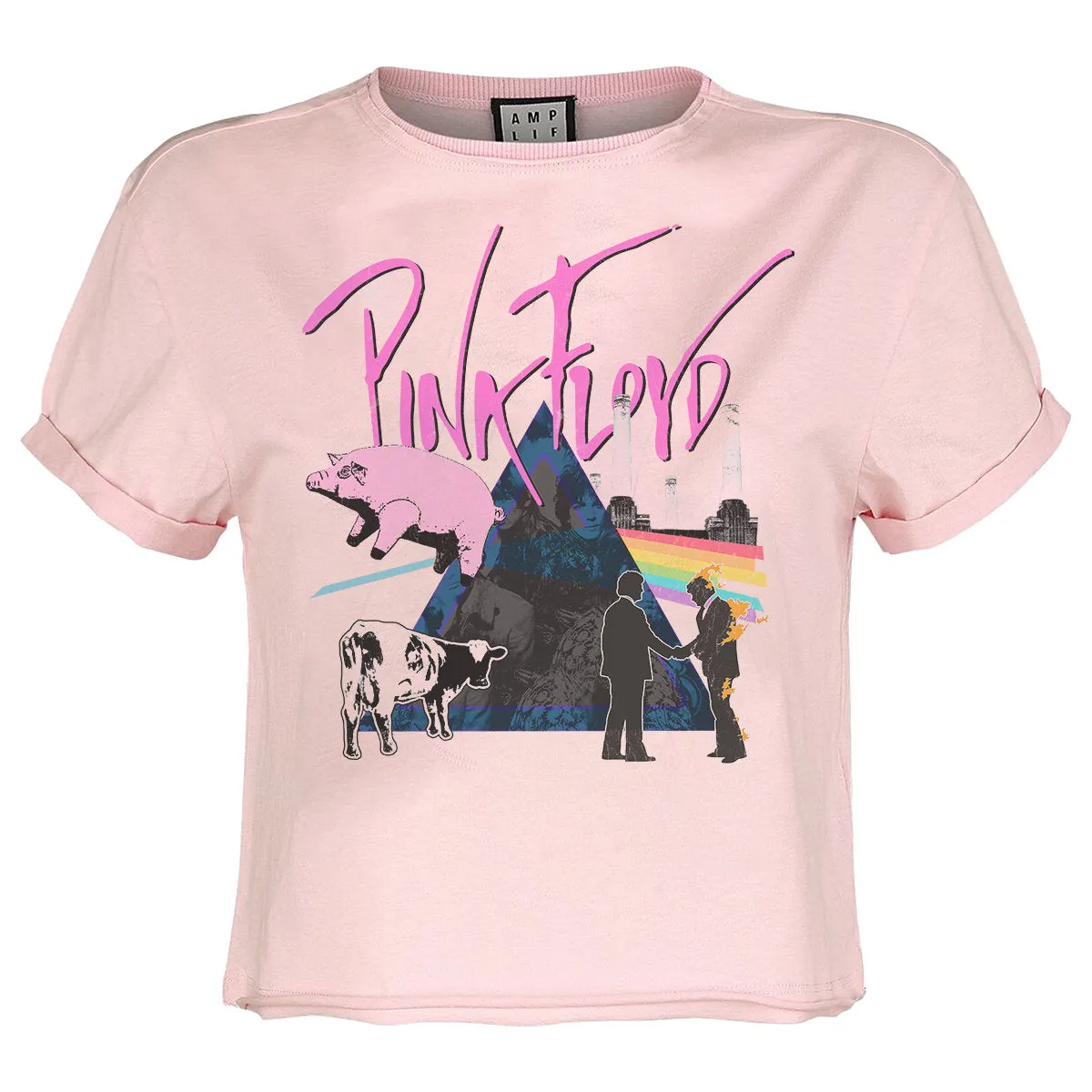 Amplified Womens/Ladies The Greats Pink Floyd Crop Top