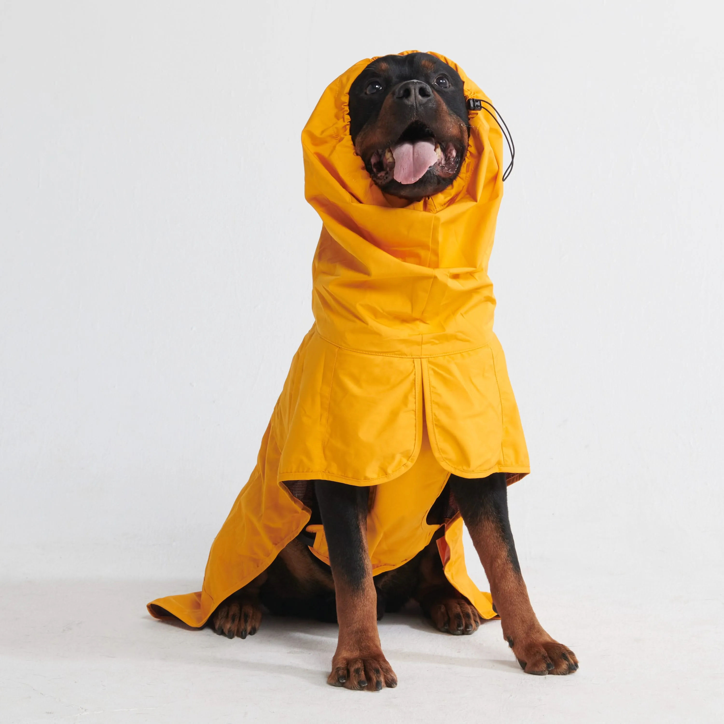 Breatheshield™ Dog Raincoat (Multi-Color)