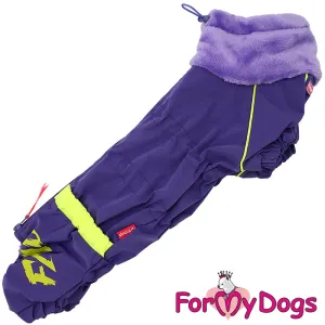 Dachshund Purely Purple Winter Suit For Girls SPECIAL ORDER