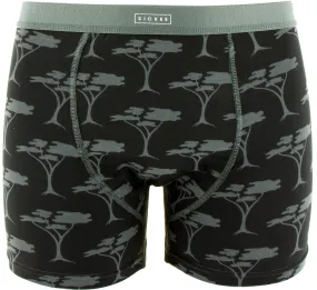 KicKee Pants Zebra Acacia Trees Men's Boxer Briefs