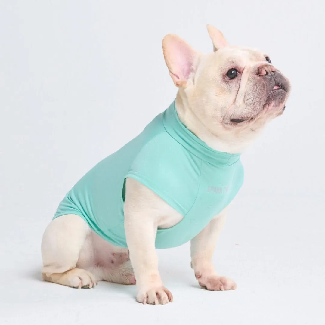 Sunblock Dog T-Shirt - Aqua