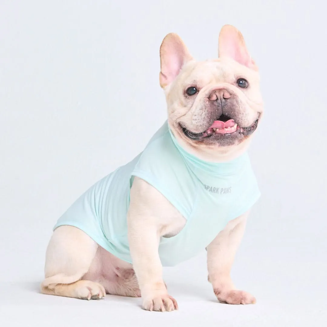 Sunblock Dog T-Shirt - Baby Blue